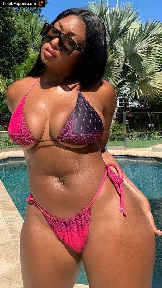 megan thee stallion fap tits boobs bikini